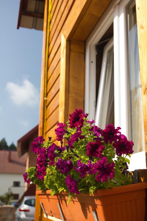 Apartments Peaks Žabljak Екстериор снимка